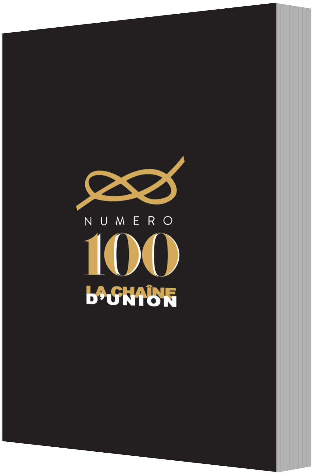 COUV-CHAINE-N°100-3D